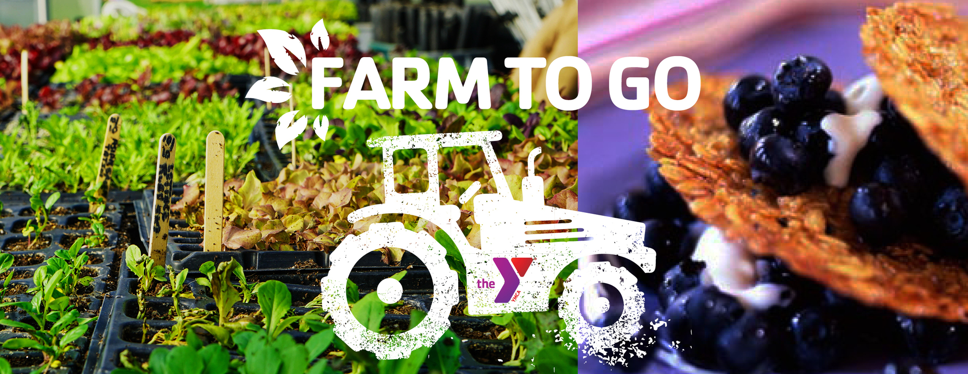 Sharing the Harvest Community Farm - Farm to Go 2026